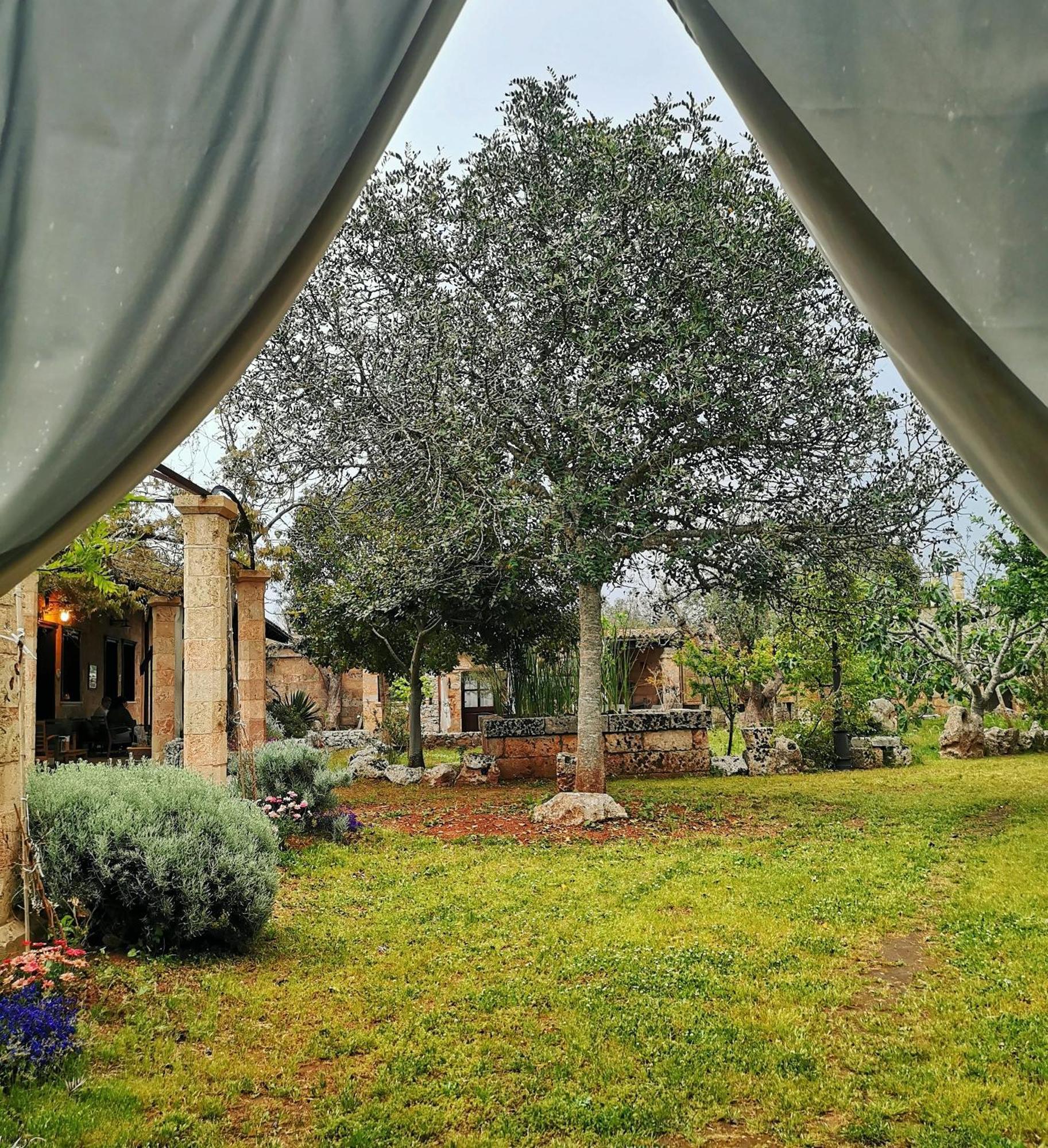 Masseria Borgo Del Gallo 트리카세 외부 사진