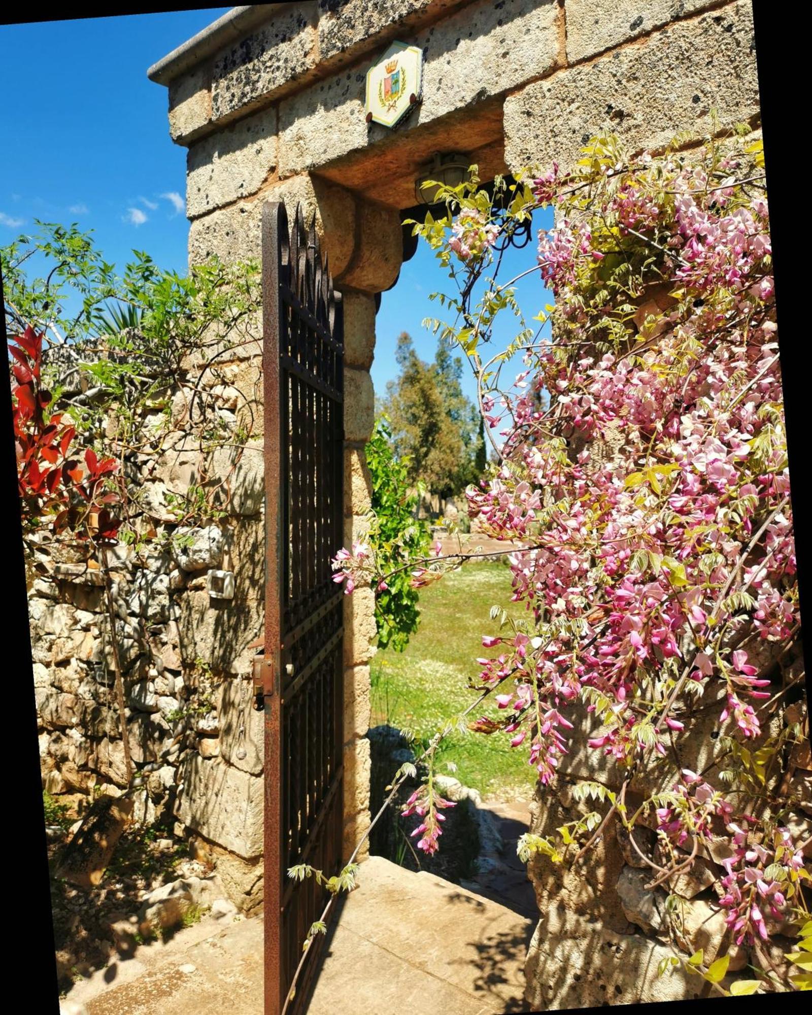 Masseria Borgo Del Gallo 트리카세 외부 사진