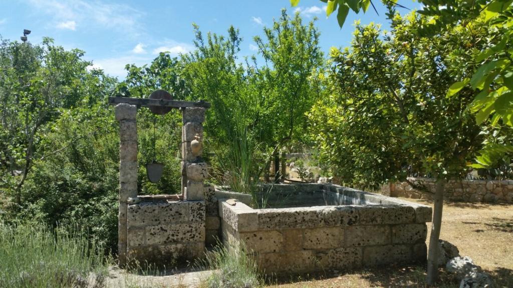 Masseria Borgo Del Gallo 트리카세 외부 사진
