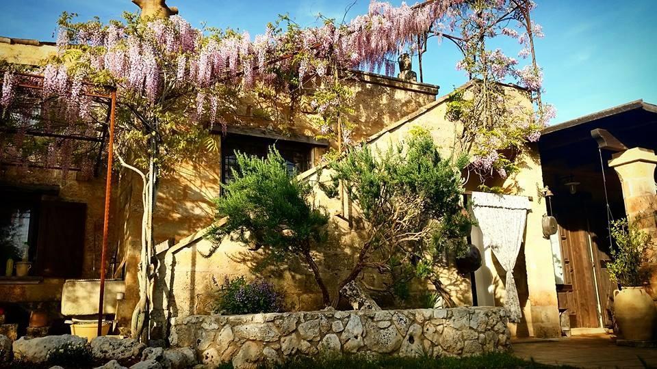Masseria Borgo Del Gallo 트리카세 외부 사진