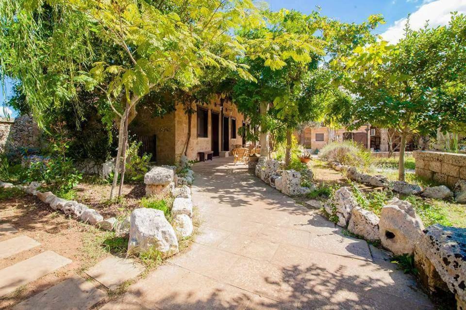 Masseria Borgo Del Gallo 트리카세 외부 사진