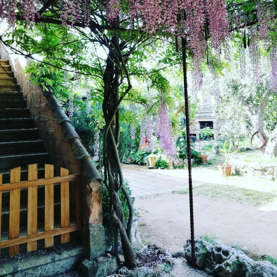 Masseria Borgo Del Gallo 트리카세 외부 사진