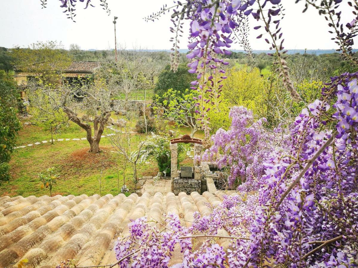 Masseria Borgo Del Gallo 트리카세 외부 사진