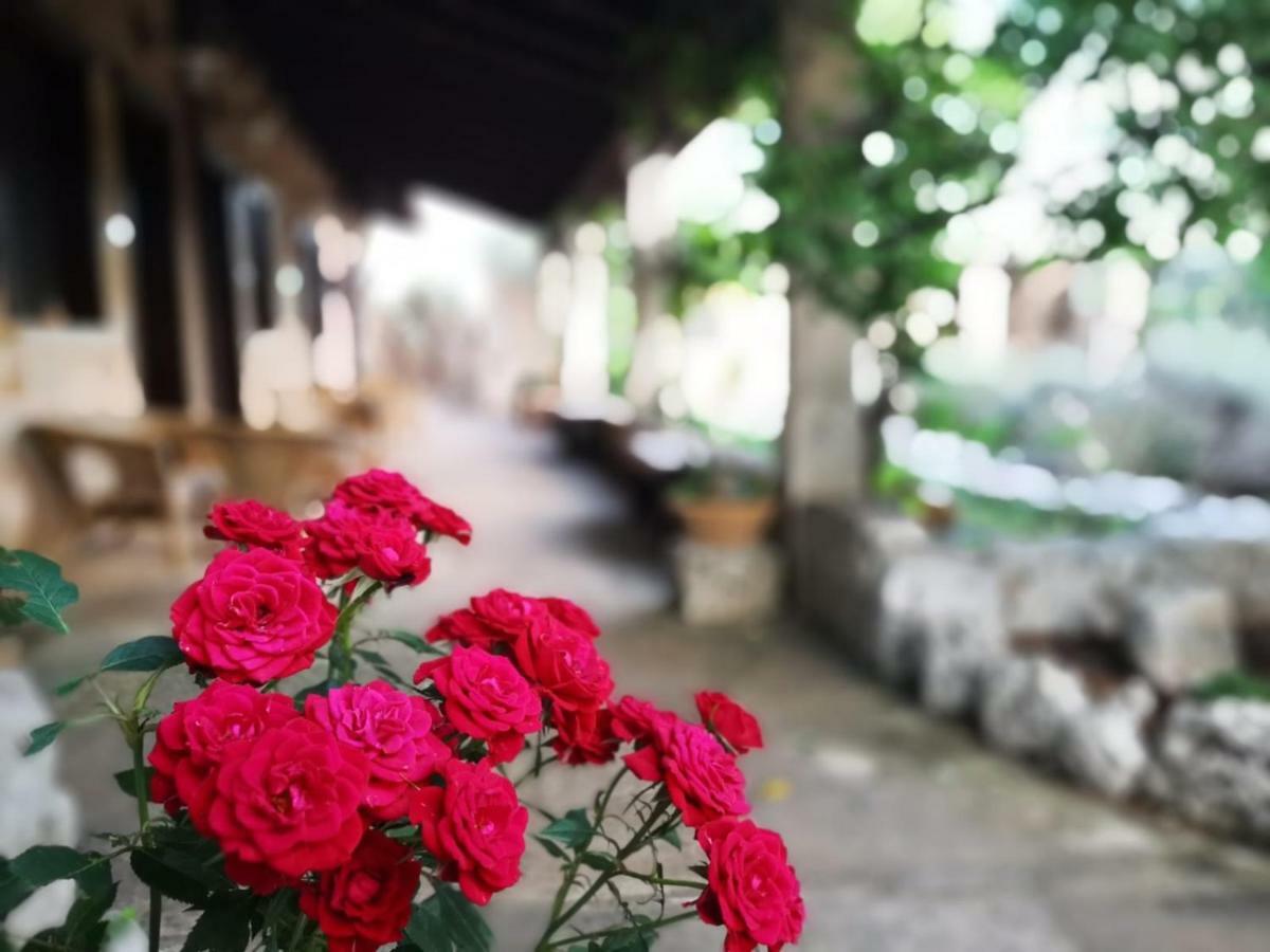 Masseria Borgo Del Gallo 트리카세 외부 사진